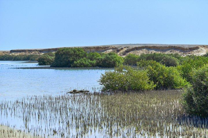 Wady Elgemal National Park Marsa alam