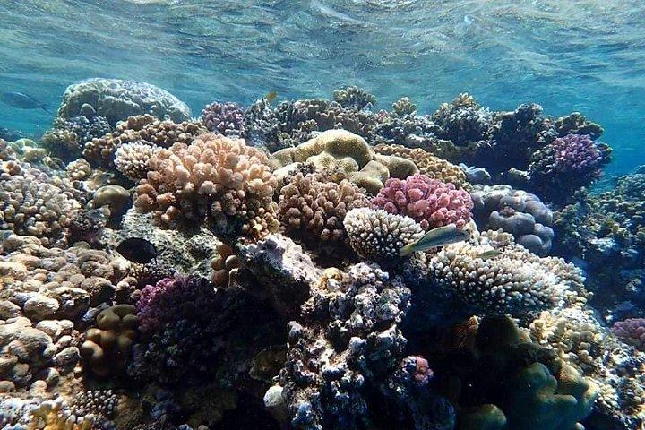Wady Elgemal National Park Marsa alam