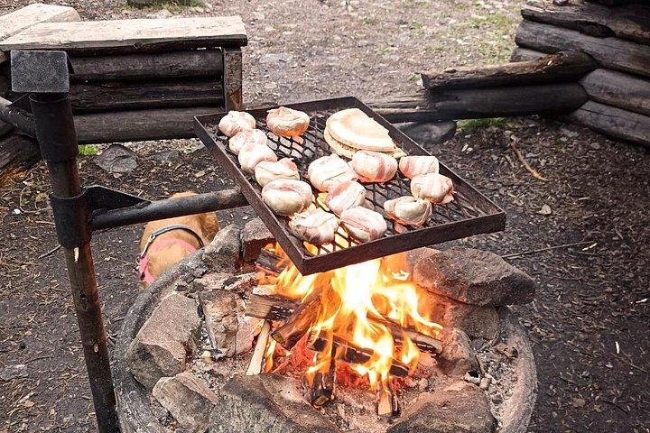 Korouoma Canyon: 凍った滝ハイキング＆BBQ体験