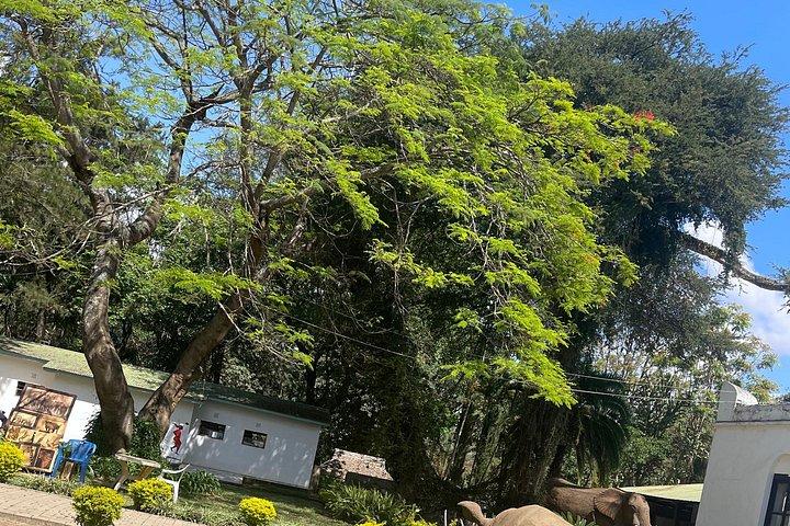 Tour della città di Arusha di un'intera giornata