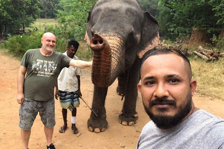8 Days Private Guided Tour in Sri Lanka with accommodation (BB)