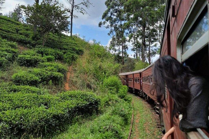 8 Days Private Guided Tour in Sri Lanka with accommodation (BB)