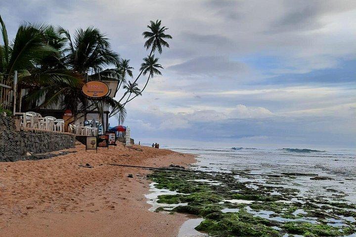 8 Days Private Guided Tour in Sri Lanka with accommodation (BB)
