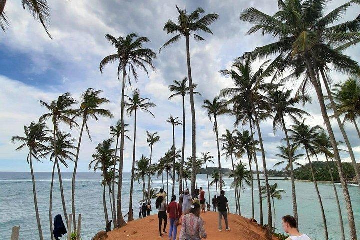8 Days Private Guided Tour in Sri Lanka with accommodation (BB)