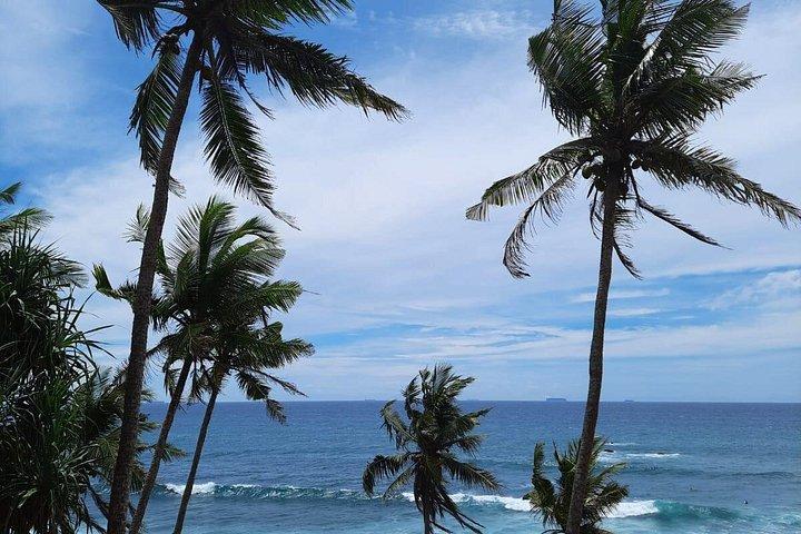 8 Days Private Guided Tour in Sri Lanka with accommodation (BB)
