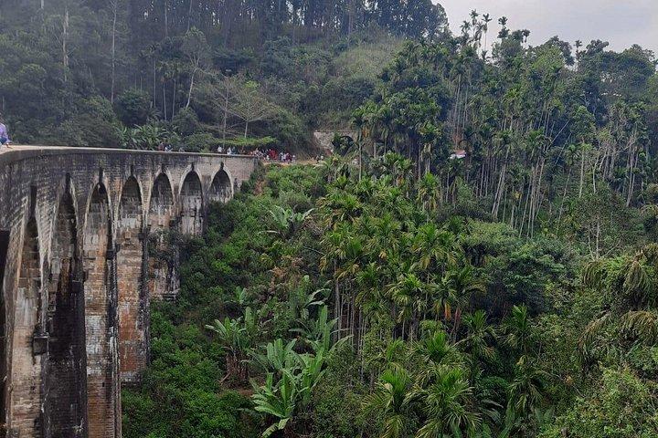 8 Days Private Guided Tour in Sri Lanka with accommodation (BB)