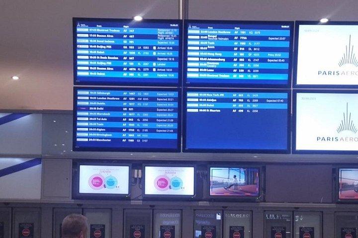 空港送迎 パリ - ディズニーランド - ミニバン 1 ~ 8 名様