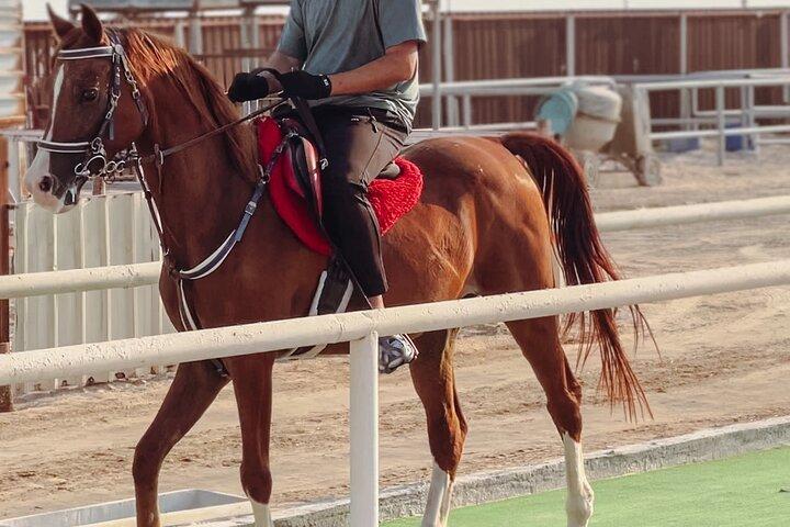 Experiência particular de passeios a cavalo em Doha