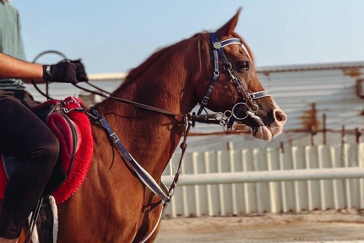 Experiência particular de passeios a cavalo em Doha