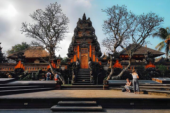 Privat halvdagstur: Ubud Waterfall Trip