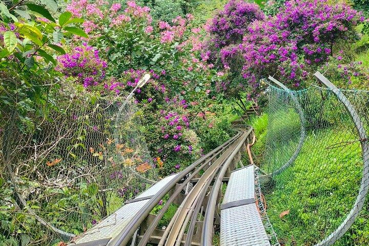 Da Lat Discover Waterfalls and Cultures Tour
