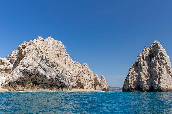 Combo : Whale Watching, shopping e Beach Time