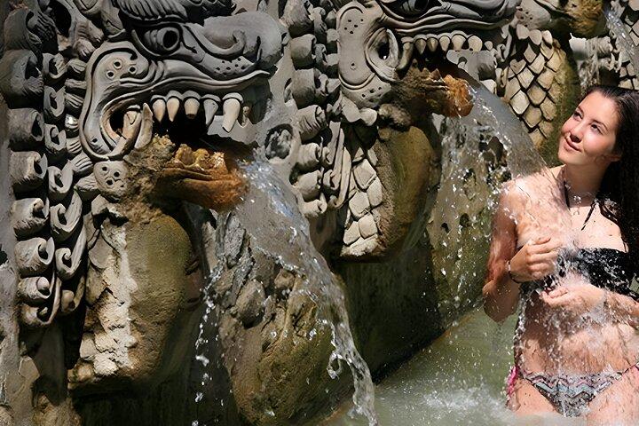 Bali heldagsbilcharter: Beauty of North Bali Tour