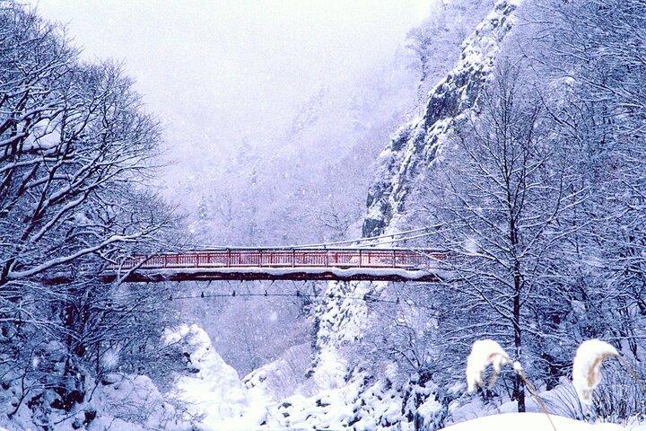 Heldags privat ski-/snowboardtur i Sapporo