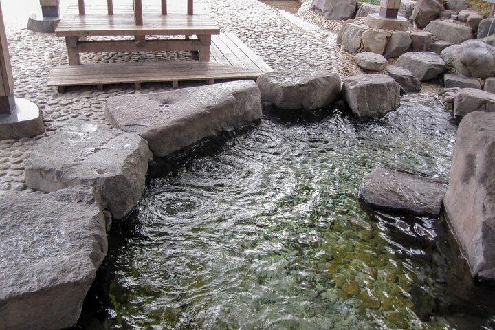 Visite privée de Sapporo à Onsen avec forfait spécial