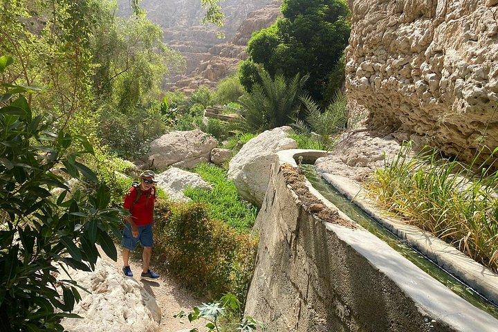 Visit wadishab full day from Musact