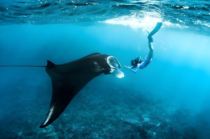 Snorkeling a Manta Bay e tour dell'isola di Nusa Penida