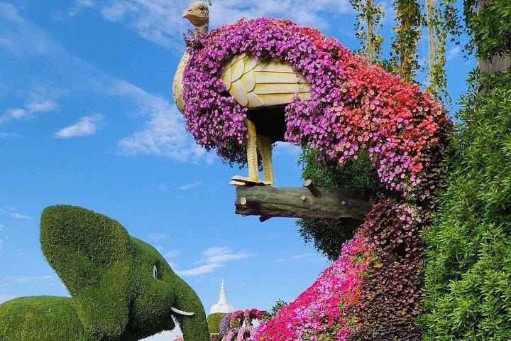 Dubai Miracle Garden Skip the Line E-Ticket and Transport Options