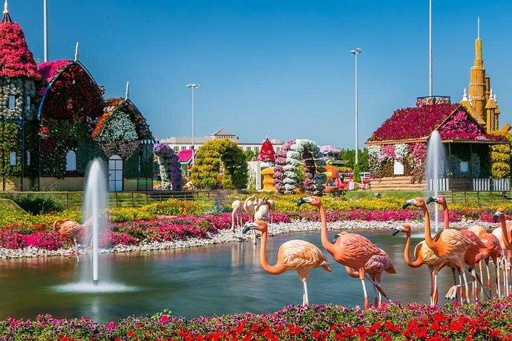 Dubai Miracle Garden Skip the Line E-Ticket and Transport Options
