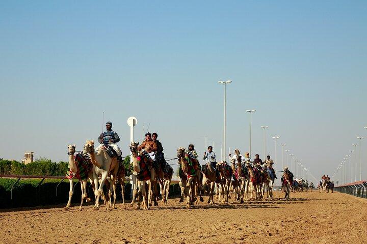 Privétour door het westen van Qatar