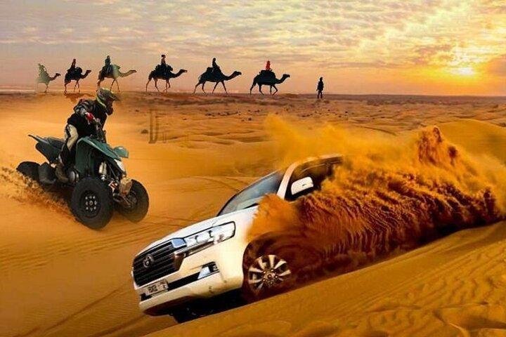 Doha : ATV,Quad o Buggy Dune Bashing,CamelRide & Sandboarding