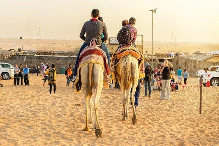 Doha : ATV,Quad o Buggy Dune Bashing,CamelRide & Sandboarding