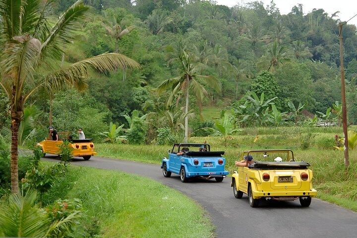 VW Safari Bali Tour - Eine einzigartige Art, die Ubud-Kultur zu entdecken