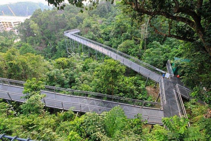 サザン リッジス ハイキング ツアー