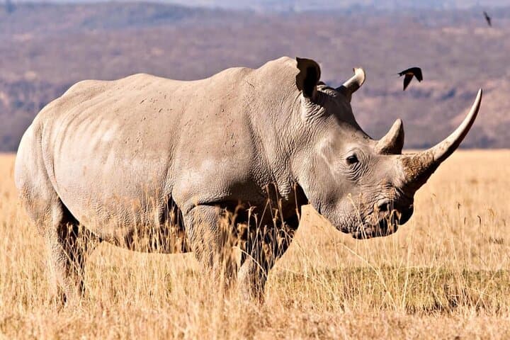 4 Day Garden Route Small Group Tour From CapeTown