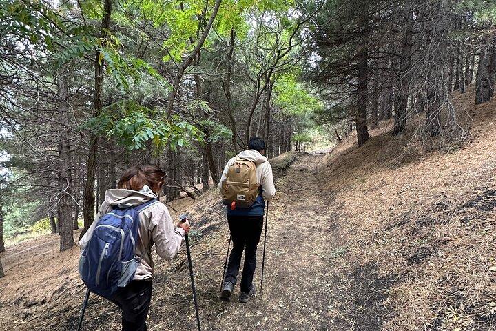 Etna Private Tour en Excursie