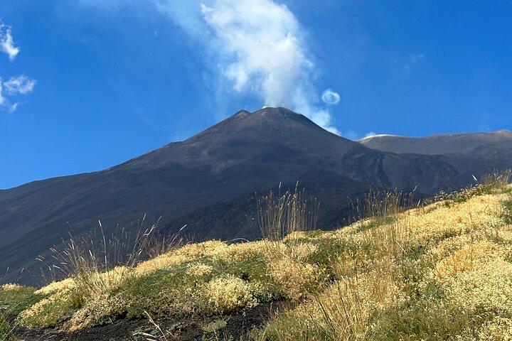 Etna Private Tour en Excursie
