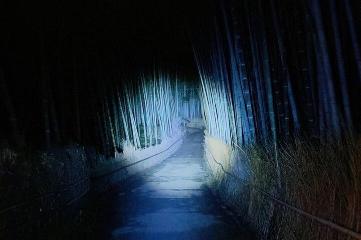 京都ゴーストツアー： 暗黒物語、都市伝説、竹林の夜