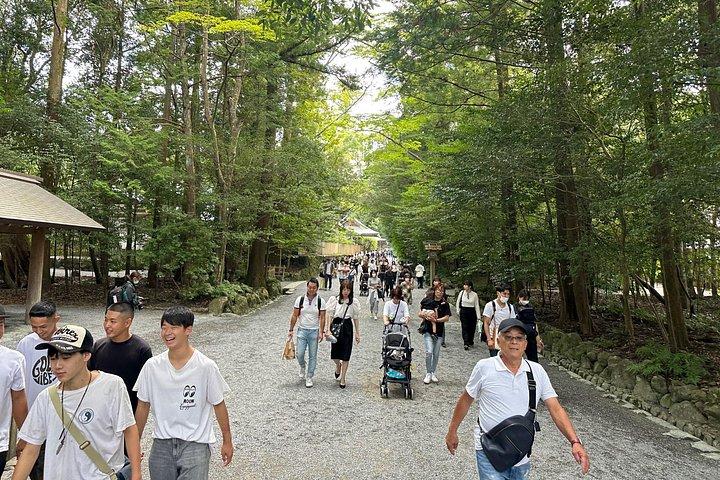 専用車とドライバー付き三重カスタム ツアー (最大 9 名様)