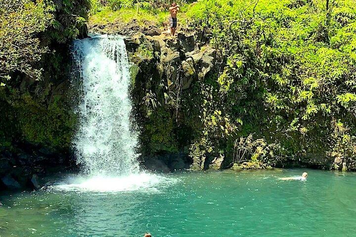 Excursão Terrestre em Maui