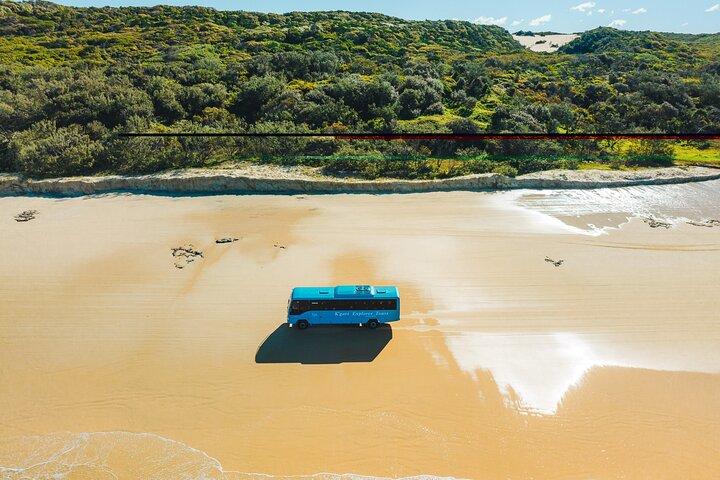 Excursion d'une journée à K'gari (Fraser Island)