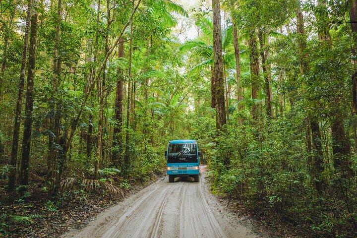 Excursion d'une journée à K'gari (Fraser Island)