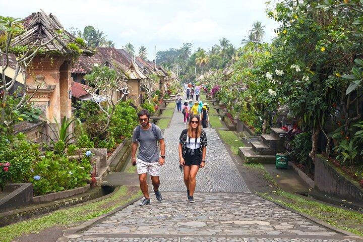 Tour de Bali: pueblo, volcán, templo de la fuente sagrada, tour de cascadas