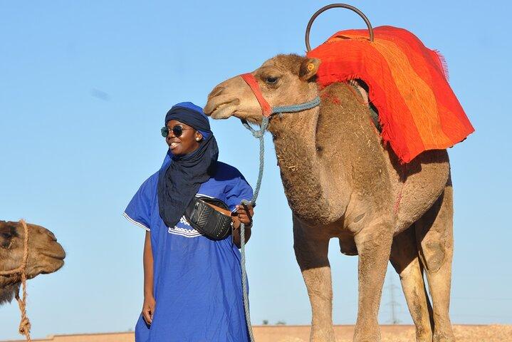 Marrakesch: Kamelritt im Palmenhain