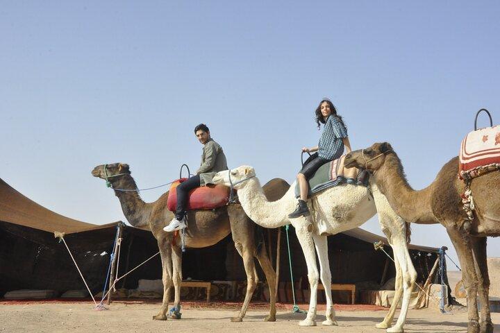Marrakech: giro in cammello nel palmeto