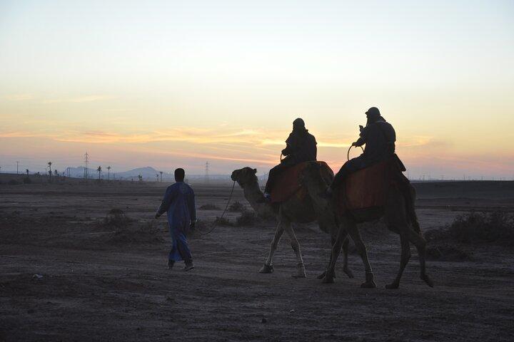 Marrakech: giro in cammello nel palmeto