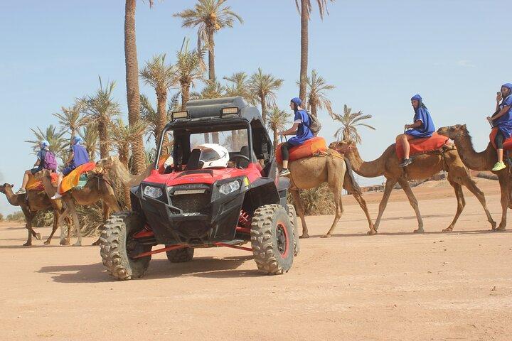 Marrakech: giro in cammello nel palmeto