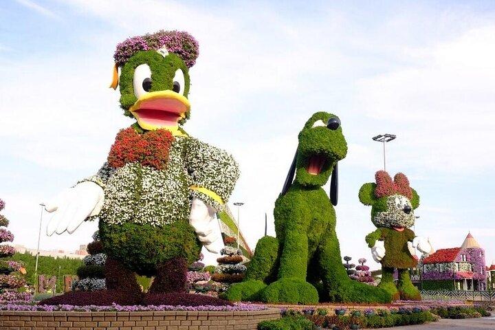 Billet d'entrée Dubaï Miracle Garden avec options