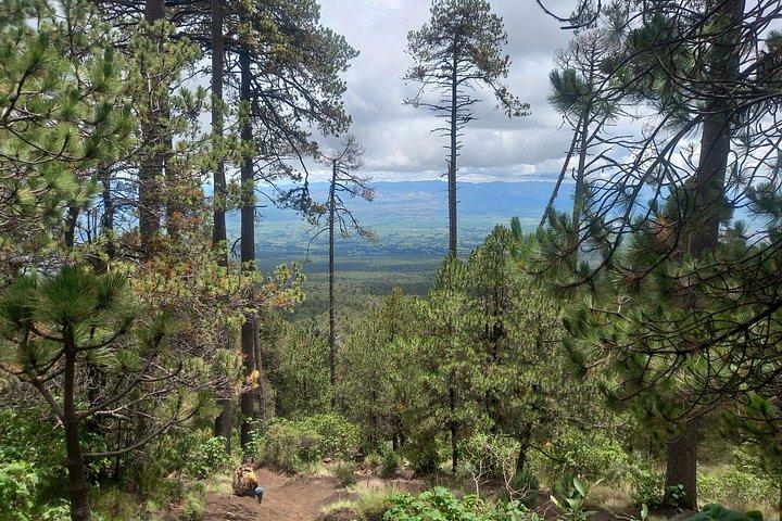 ラ・マリンチェ山頂へのハイキングツアー