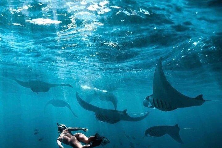 Tour privado de un día por el este y el oeste con snorkel en Nusa Penida