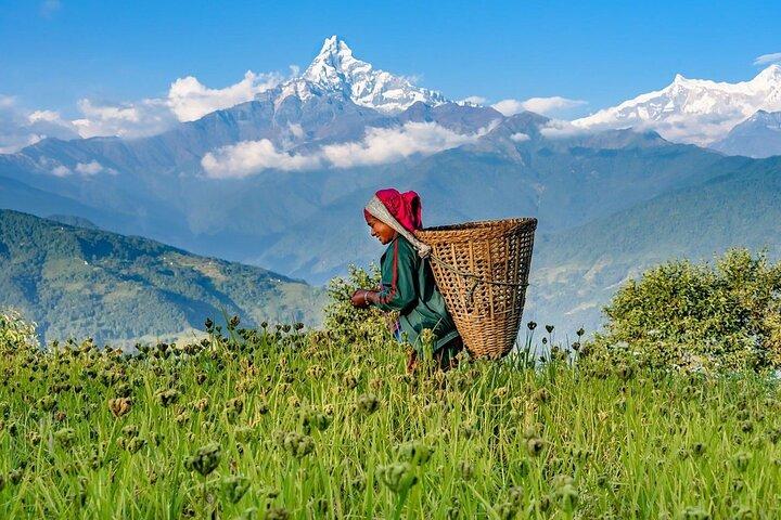 Pokhara: Geführte Tour zum Besuch der 5 Himalaya-Aussichtspunkte