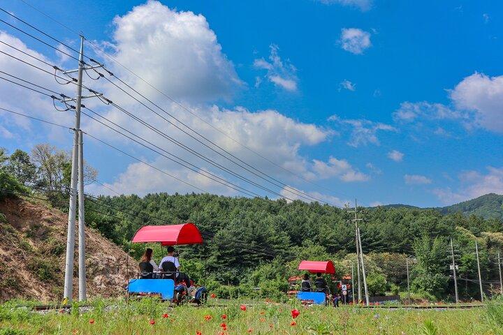 (プライベートツアー) 南怡島+レールバイク+朝凪の庭園