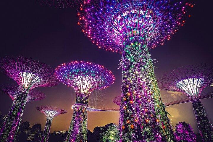 Singapore Starry Night River Cruise, Spectra & Garden Rhapsody