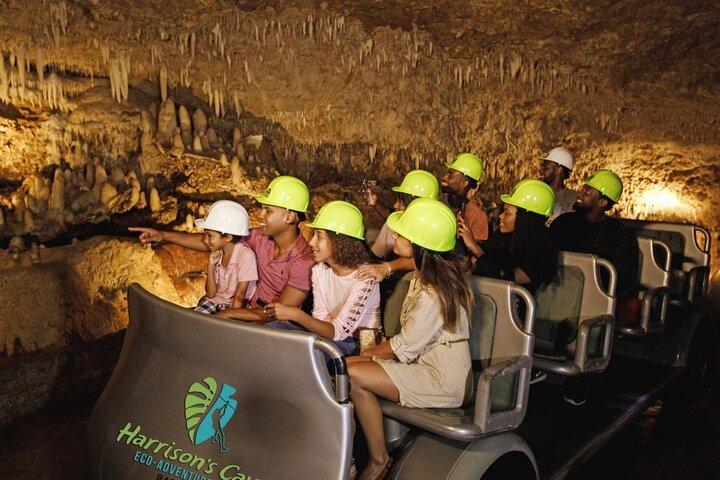 Harrison's Cave Tour & Monkey Zipline, Barbados