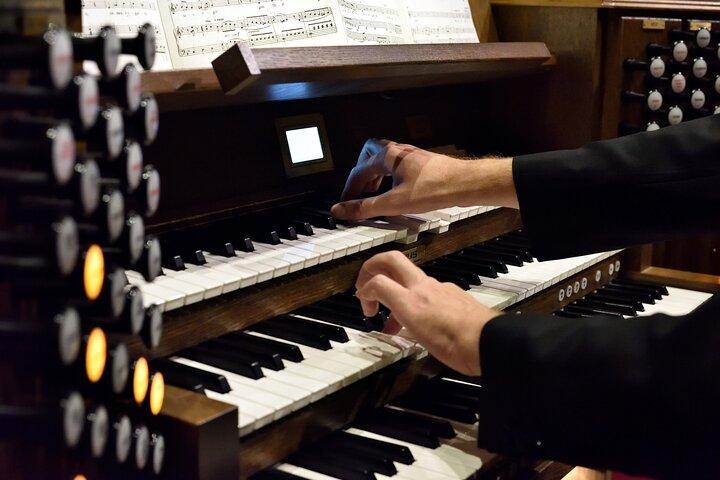 Concerto d'organo nella Basilica di Santo Stefano