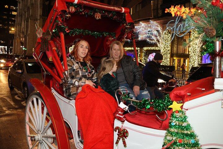 クリスマス ライト プライベート キャリッジ ライド ニューヨーク市